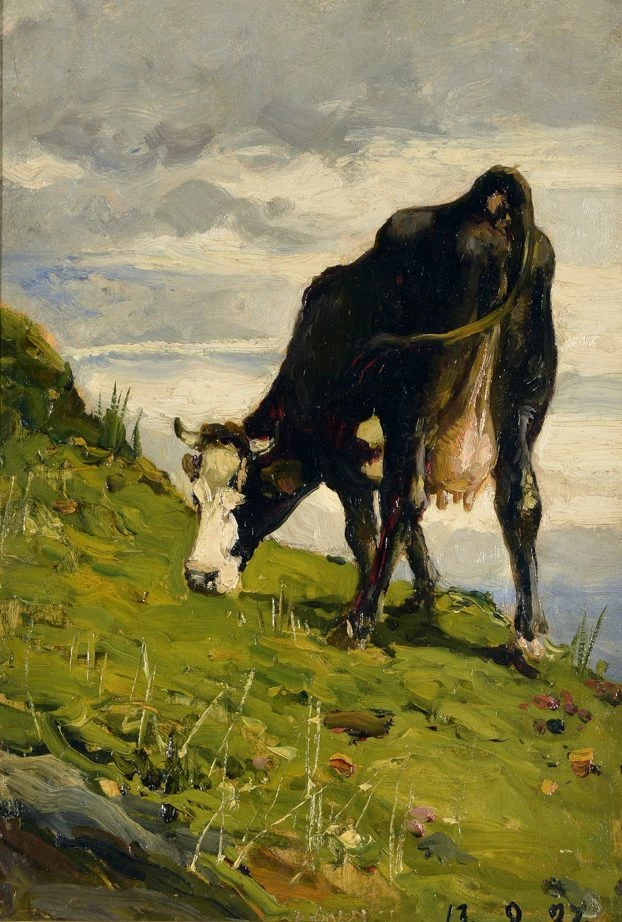 Mucca al pascolo - Museo del Territorio Biellese, Biella